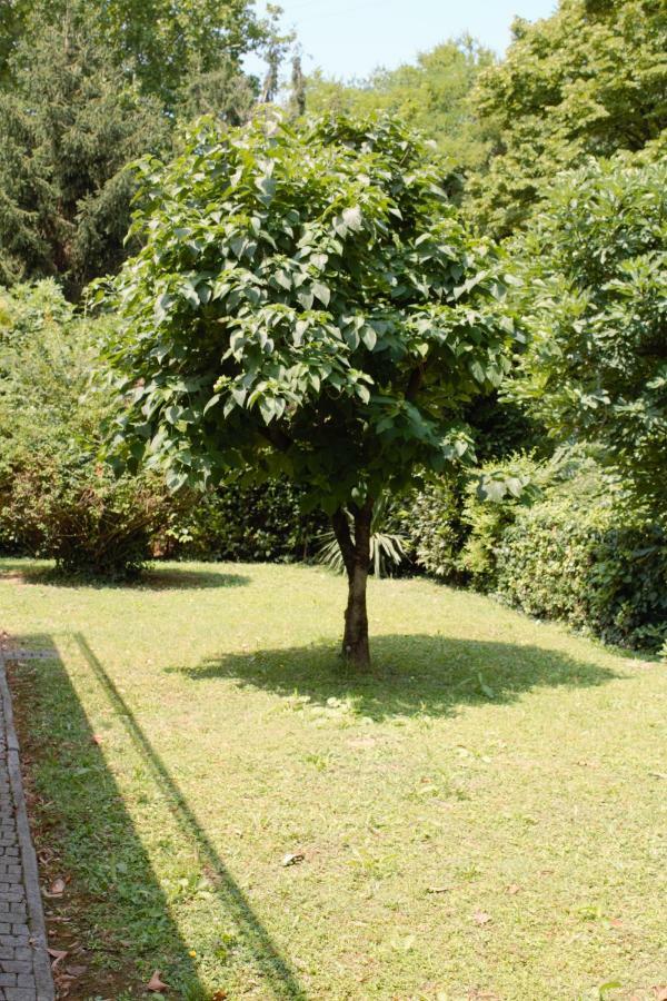 Appartamento Le Magnolie Местре Екстер'єр фото